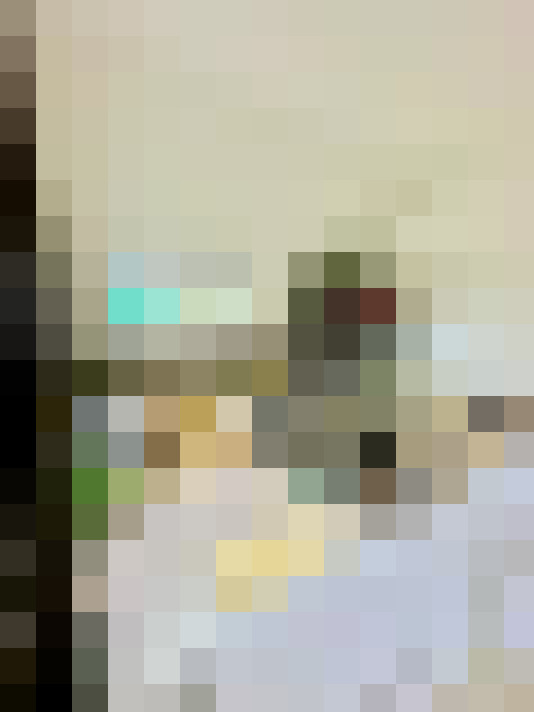 Image 30