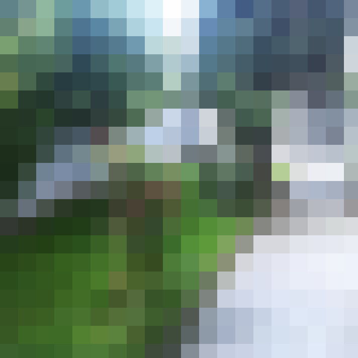 Image 14