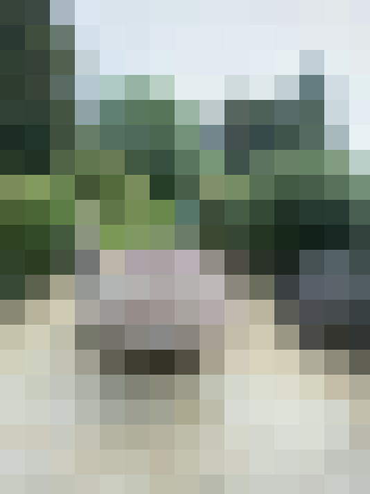 Image 13