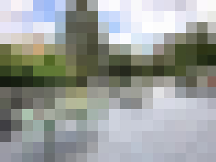 Image 14