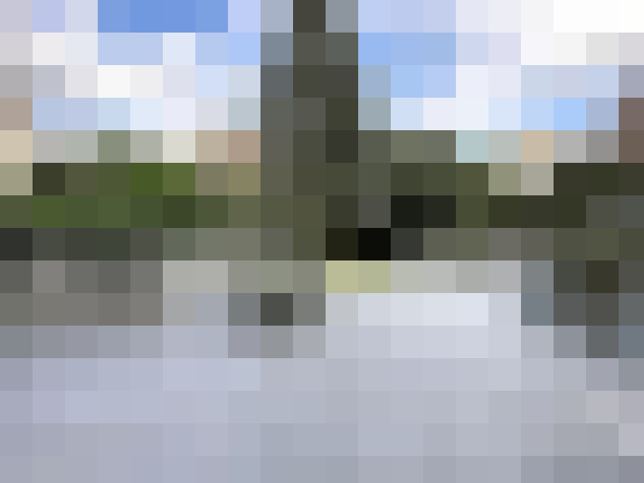 Image 13