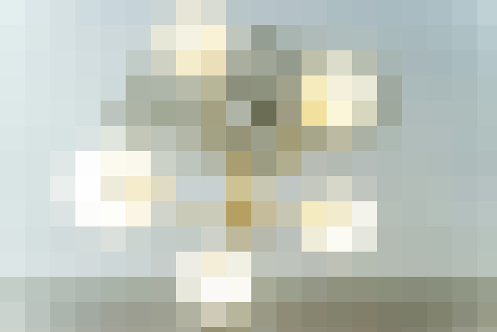 Image 20
