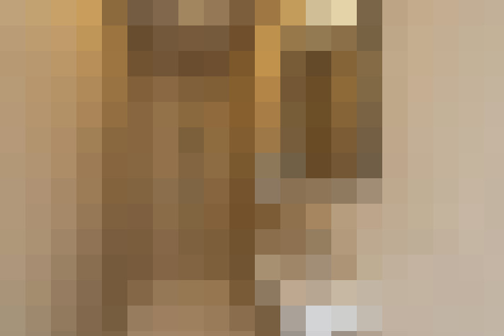 Image 29