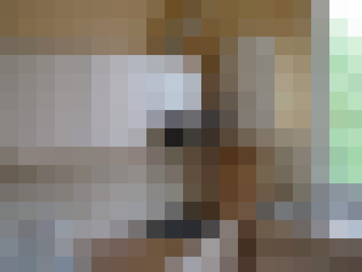 Image 13