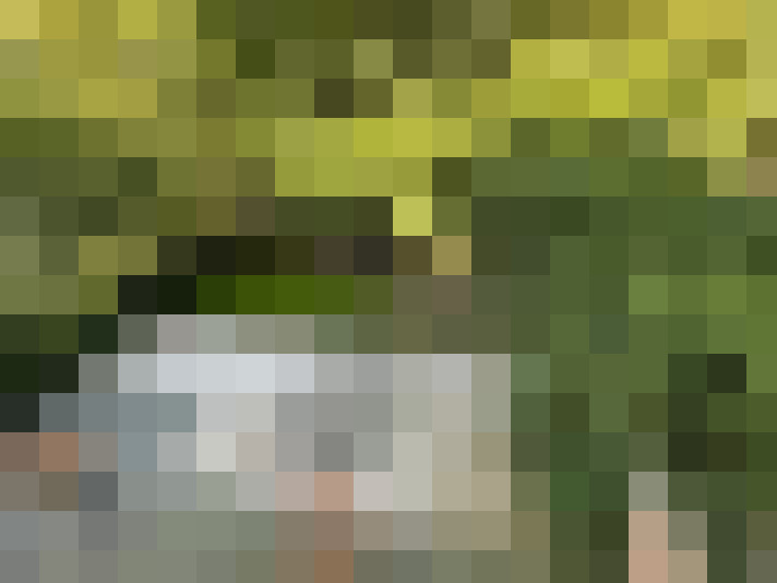 Image 16