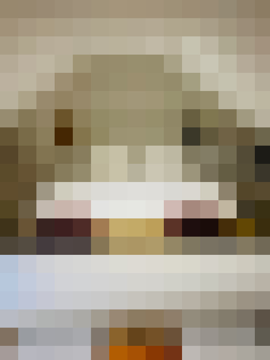 Image 22