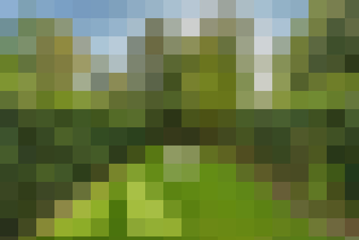 Image 31