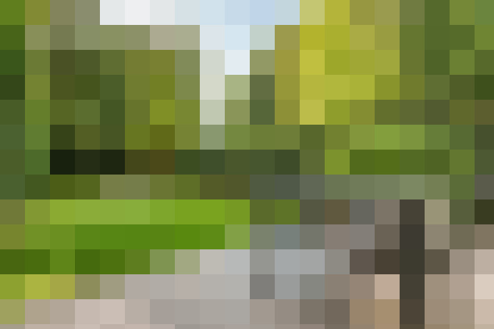 Image 30
