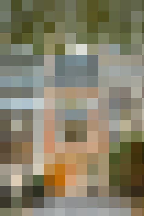 Image 24