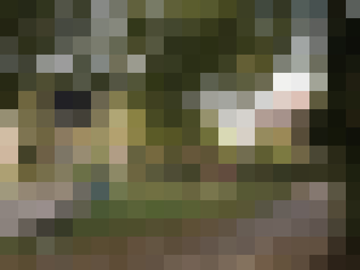 Image 21