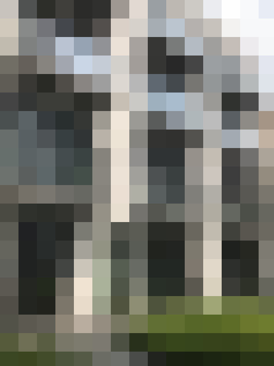 Image 23