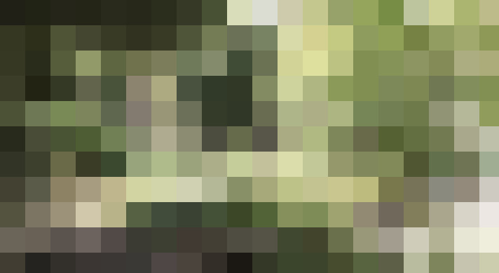 Image 13