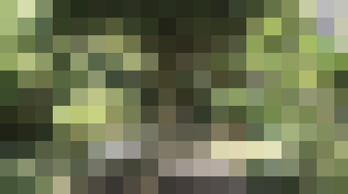 Image 14