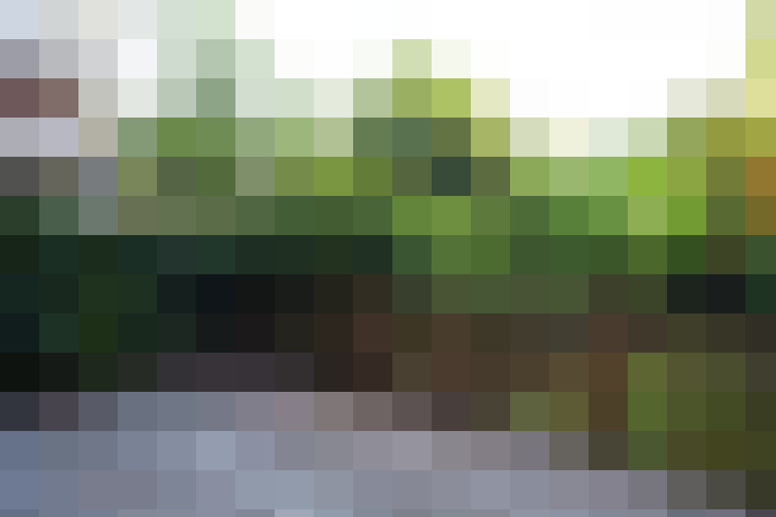 Image 23