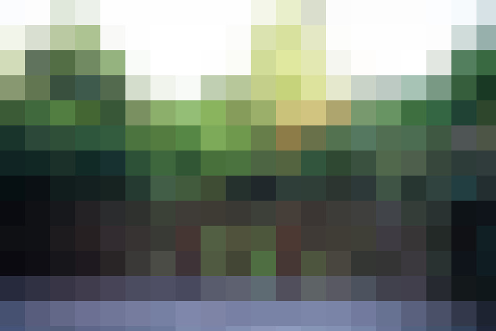 Image 22
