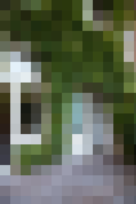Image 17