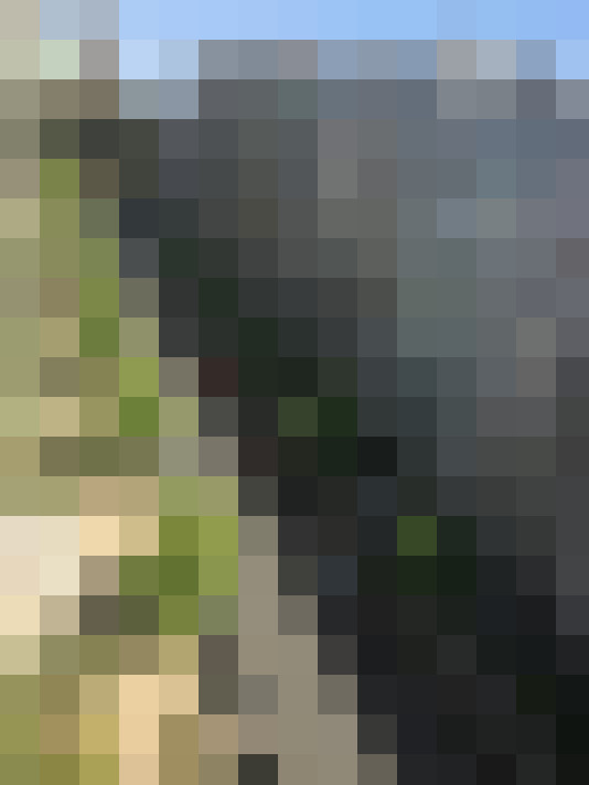 Image 46