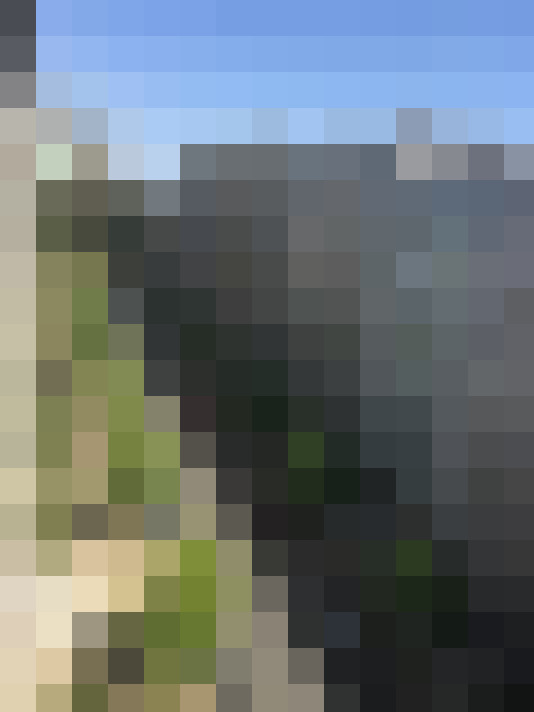 Image 44