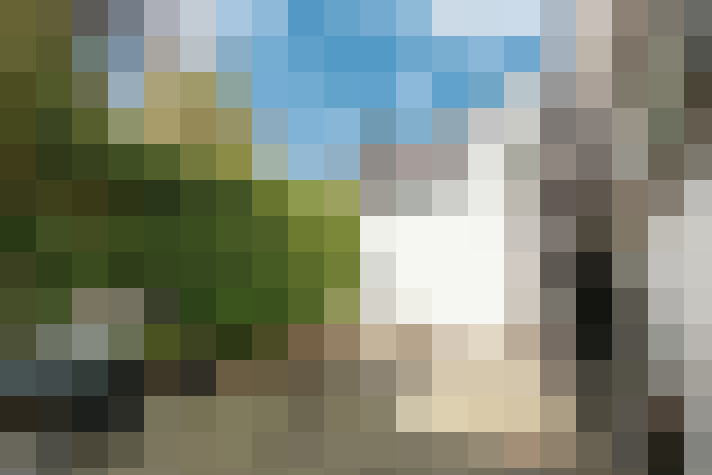Image 20