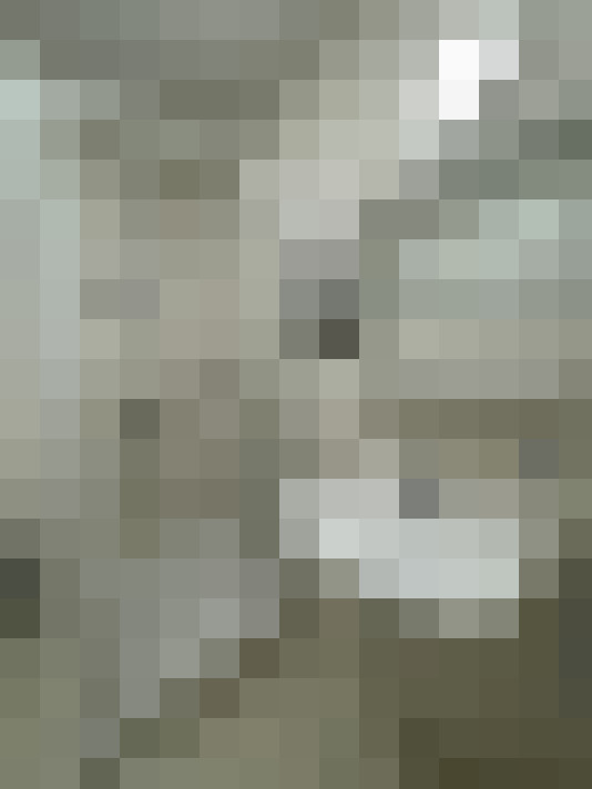 Image 17