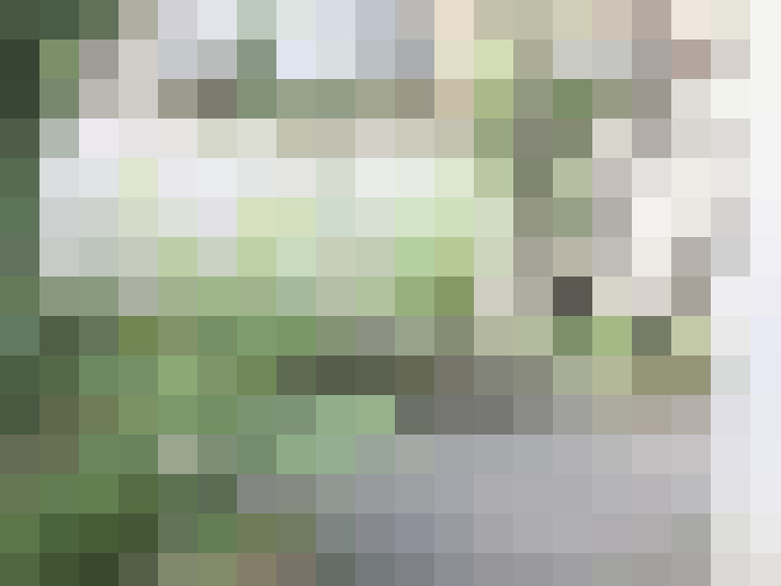 Image 13