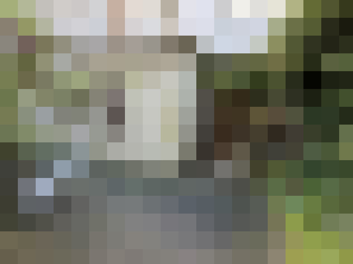 Image 16