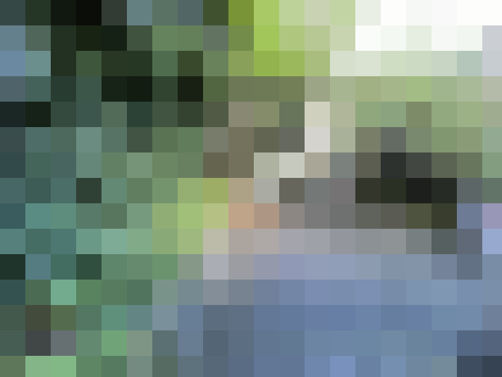 Image 14