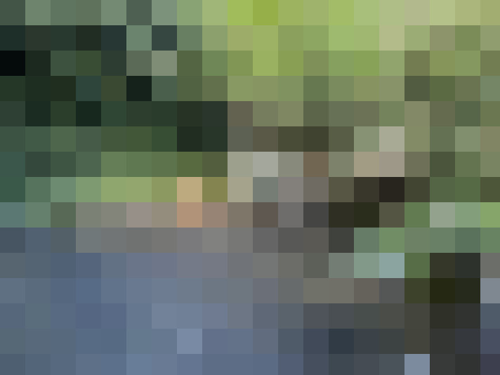 Image 15