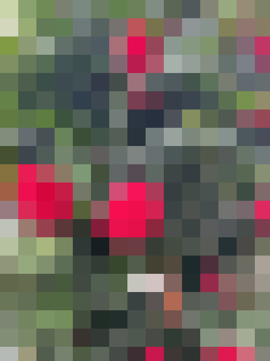 Image 17