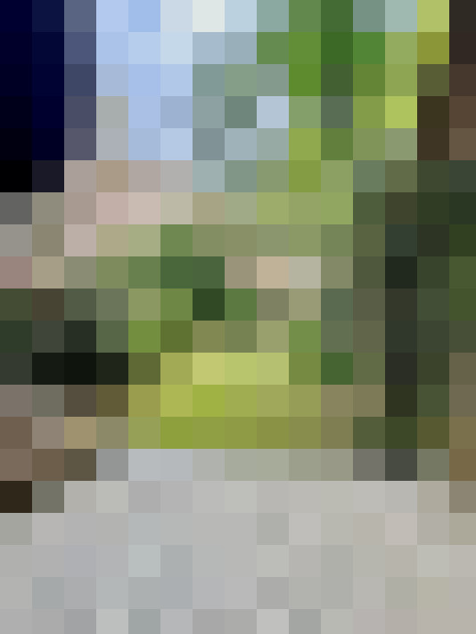 Image 17