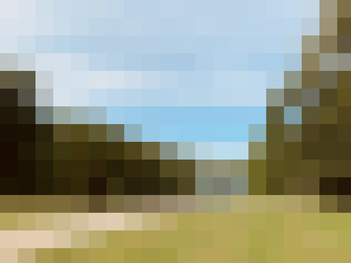 Image 22
