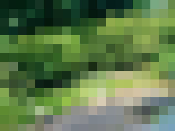 Image 35