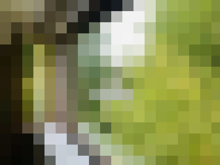 Image 34