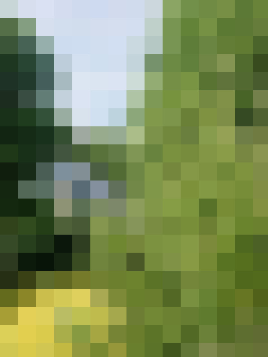 Image 29