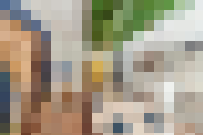 Image 22