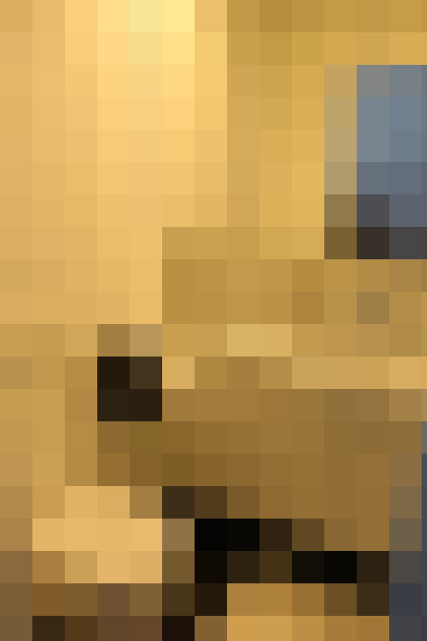 Image 22