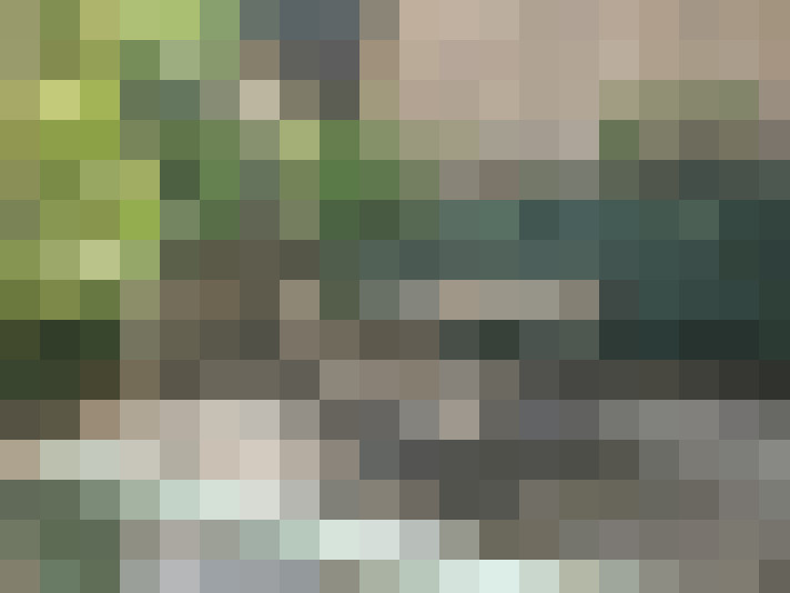 Image 18