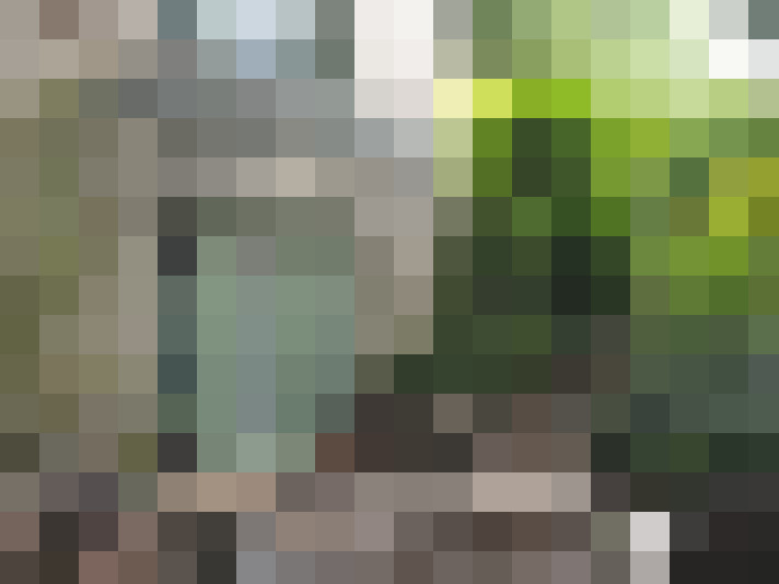 Image 17
