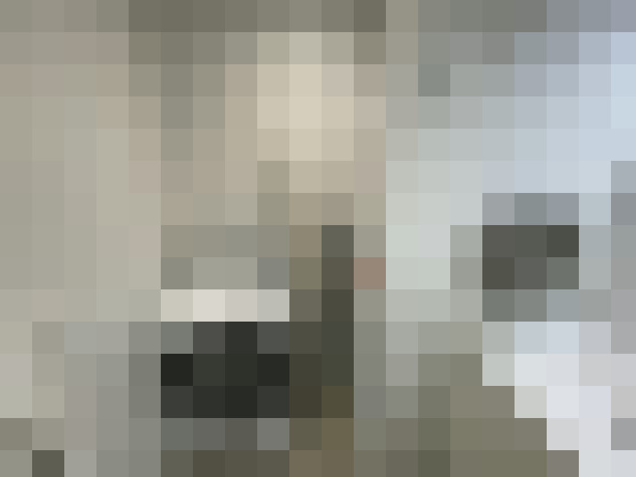Image 13
