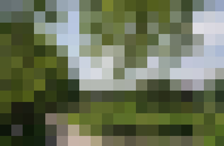 Image 43