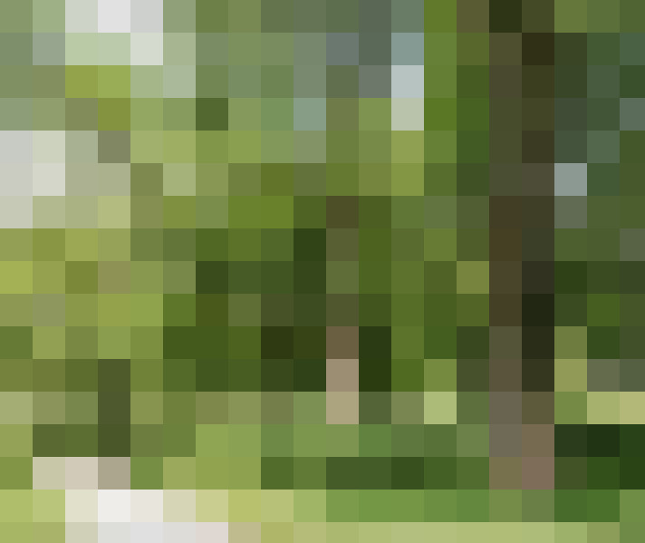 Image 42