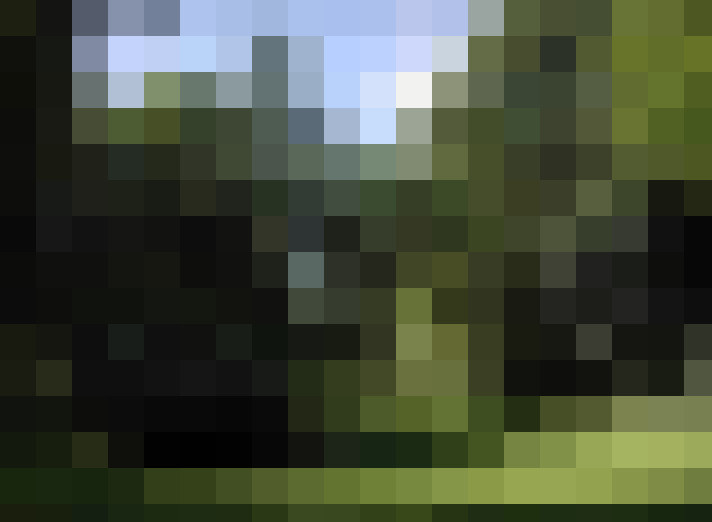 Image 41