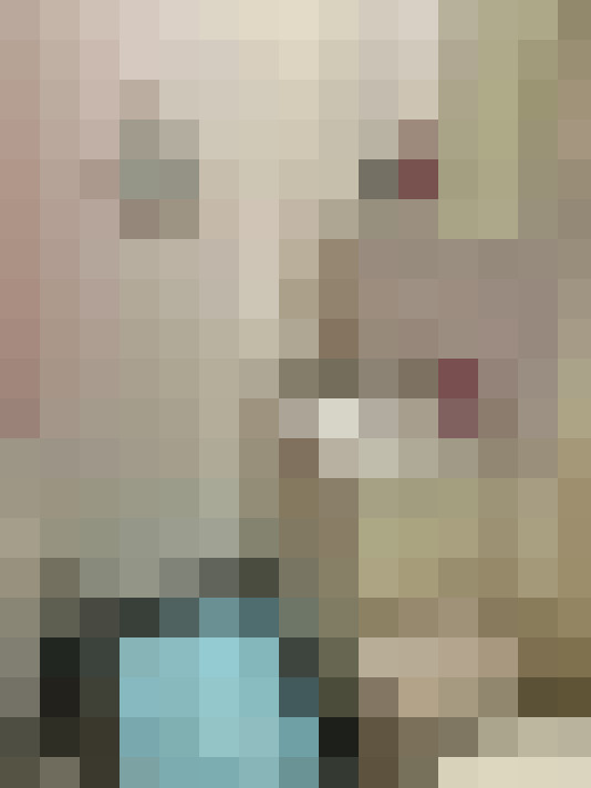 Image 14