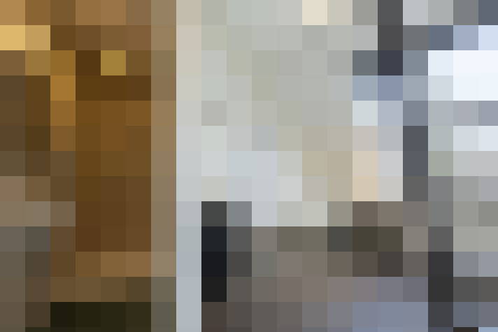 Image 25