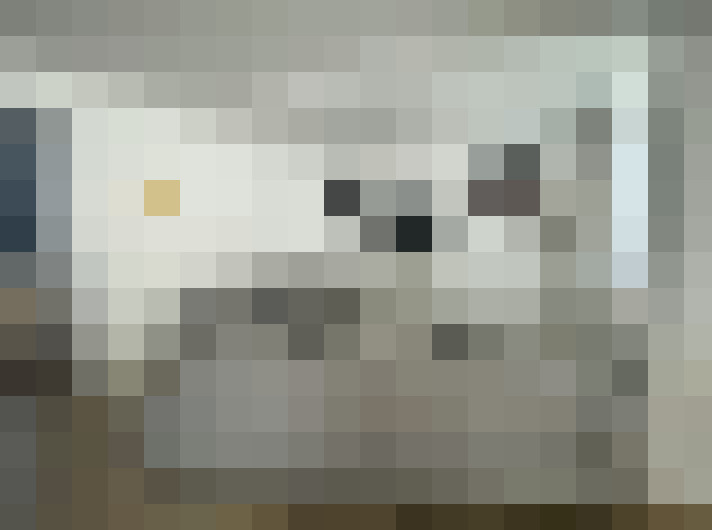 Image 13