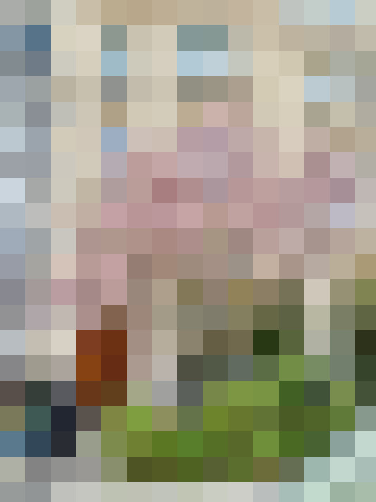 Image 28
