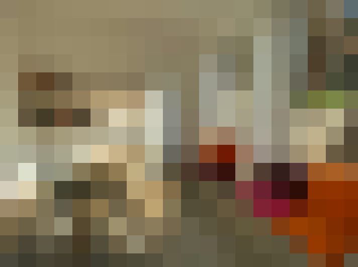 Image 15