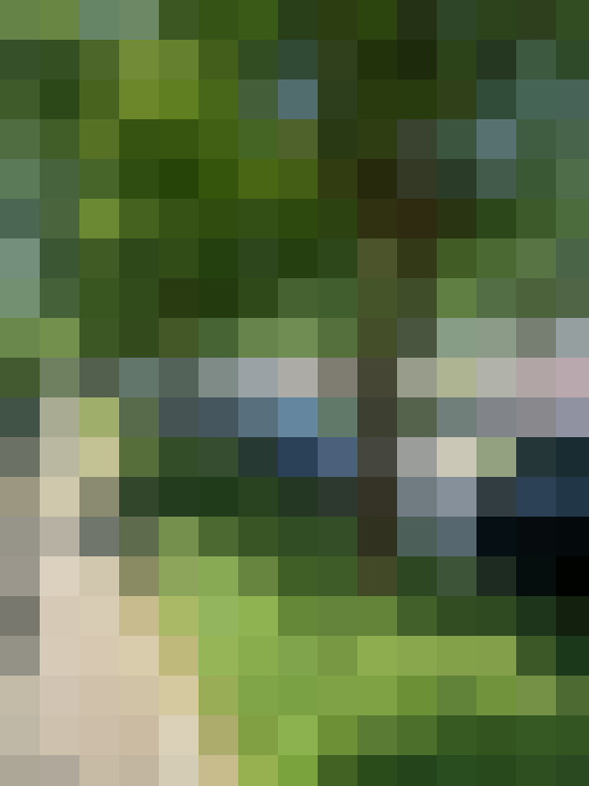 Image 24