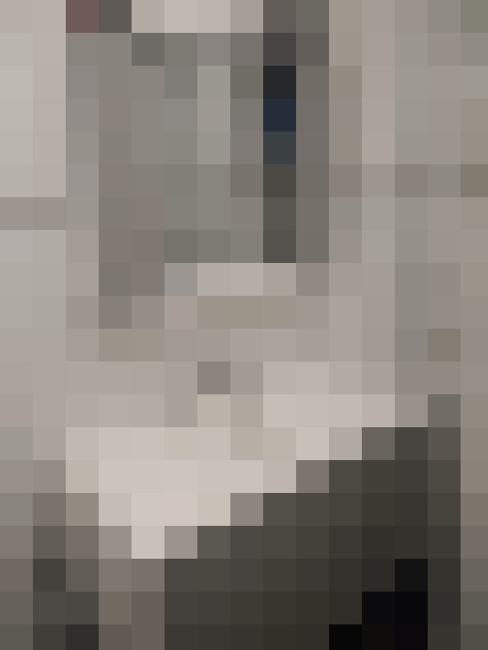Image 13