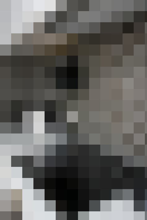 Image 29